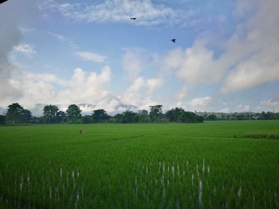 Banviewpui Resort Chiang Rai Zewnętrze zdjęcie